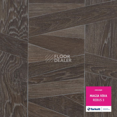 Линолеум Tarkett Magia Viva REBUS 3 фото 1 | FLOORDEALER